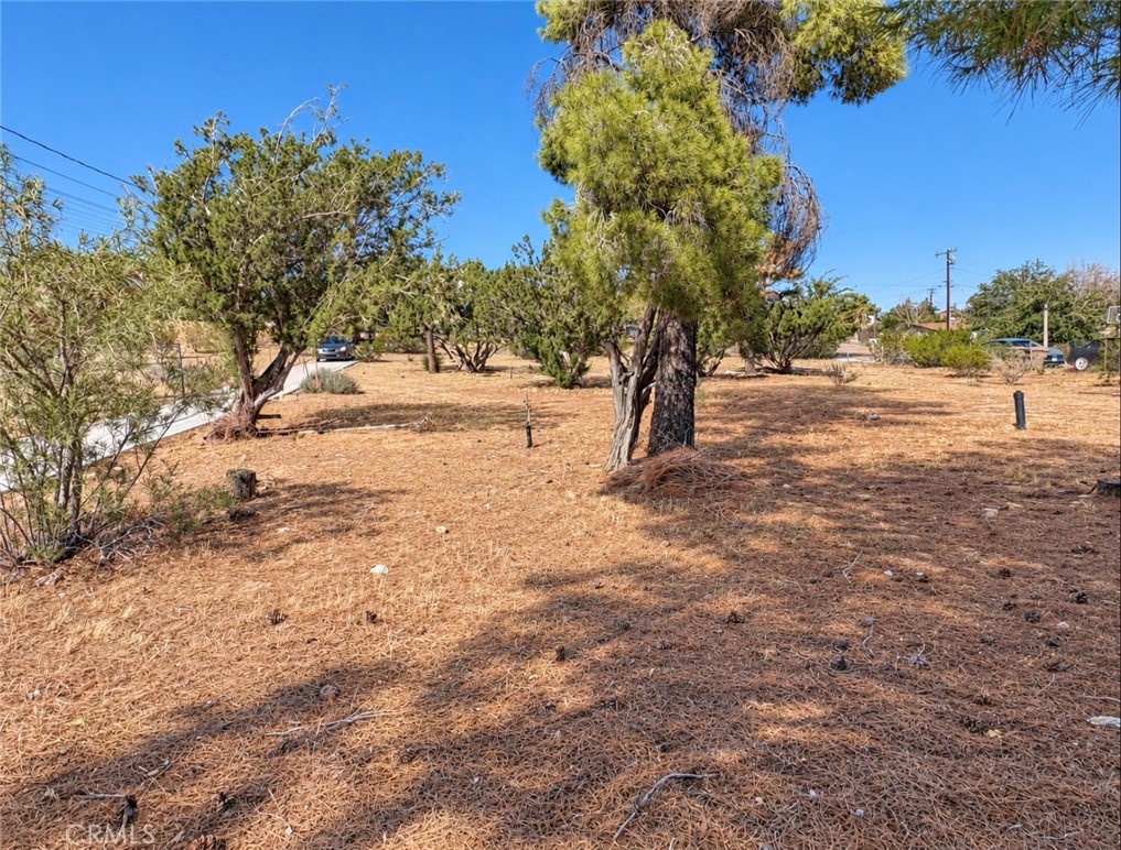 18393 Orange Property Photo 24
