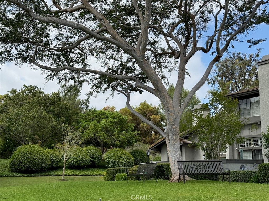 15 Starfall Property Photo 37
