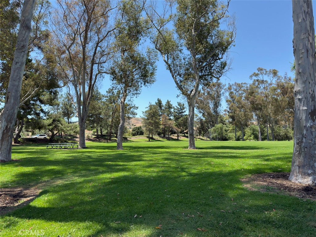 15 Starfall Property Photo 52