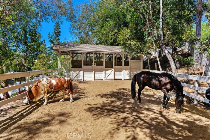 26042 Flintlock Property Photo 43