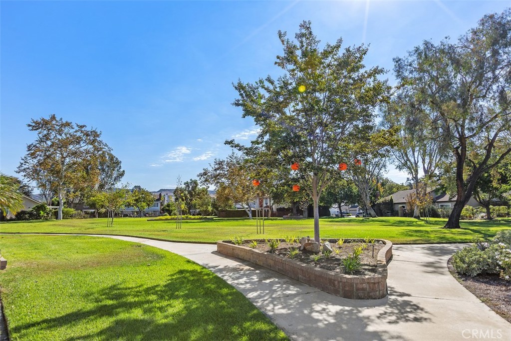 31111 Via Sonora Property Photo 35