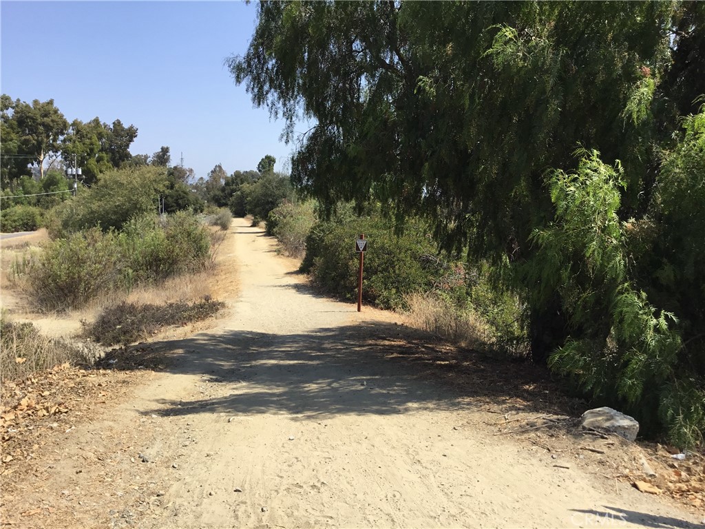 31111 Via Sonora Property Photo 38