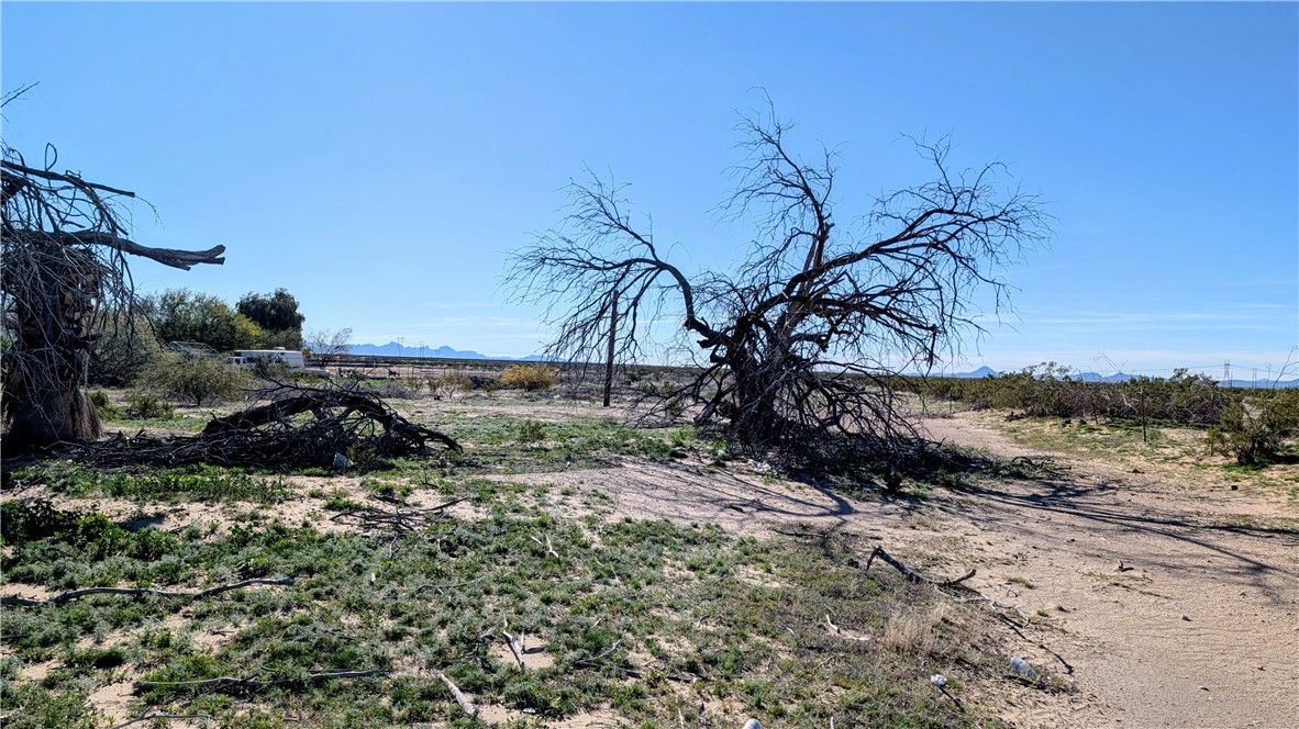 18241 Blythe Way Property Photo 3