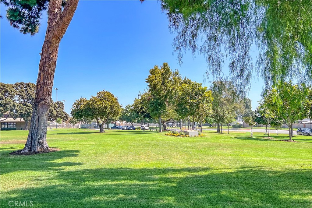 8469 Calendula Drive Property Photo 39