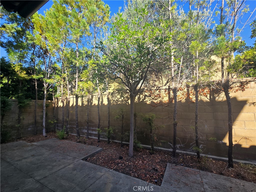 38 Cipresso Property Photo 34