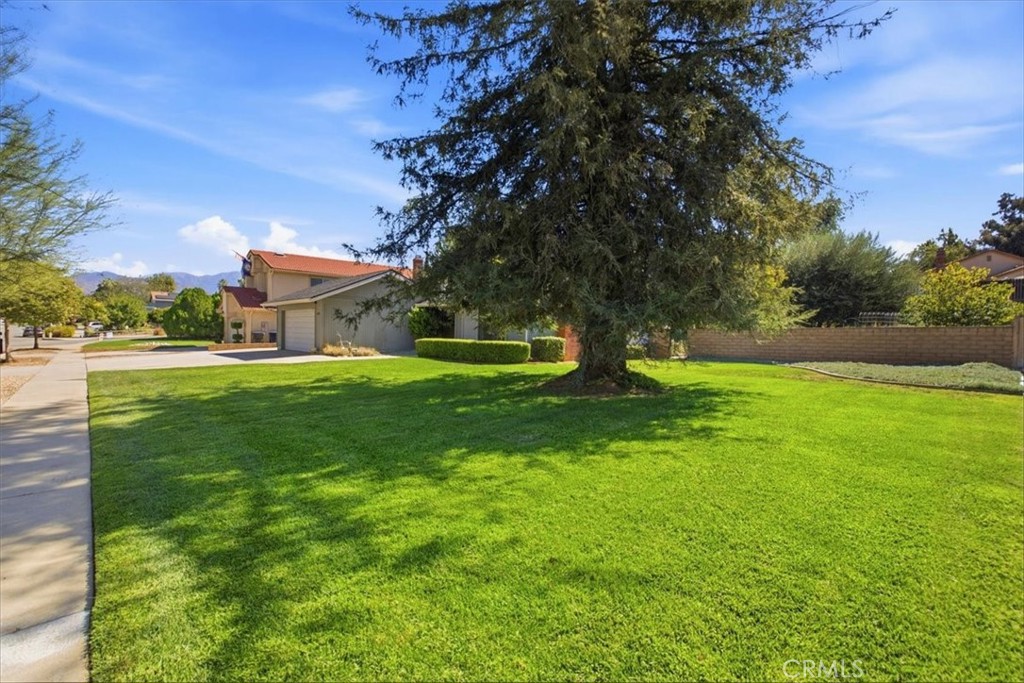 1418 Diamond Court Property Photo 4