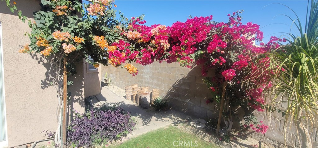 43950 Milan Court Property Photo 33