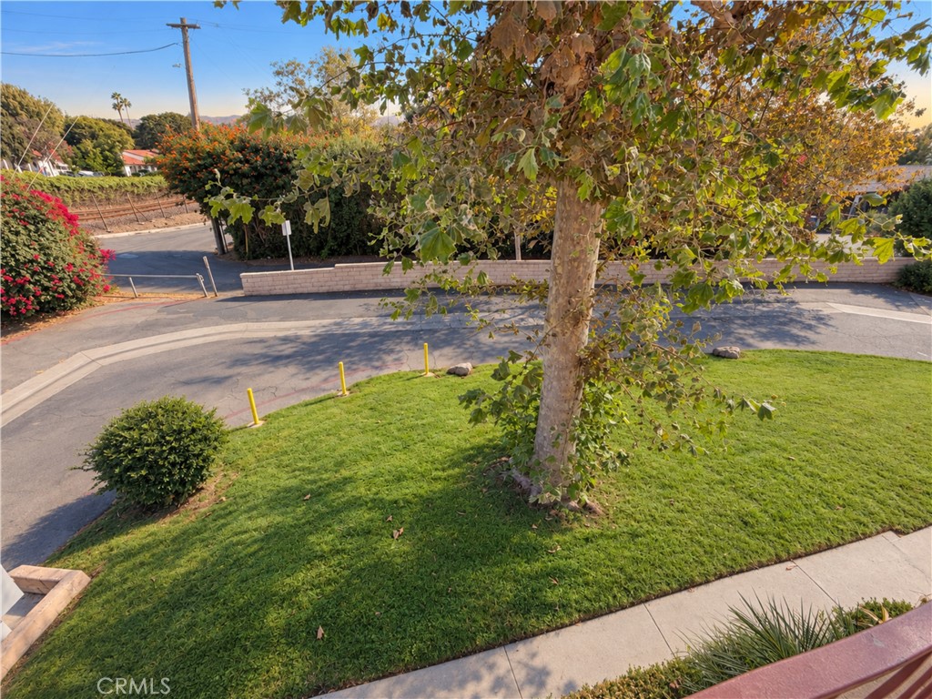 31608 Los Rios Property Photo 14