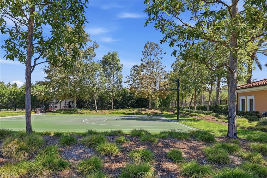 154 Briar Rose Property Photo 32