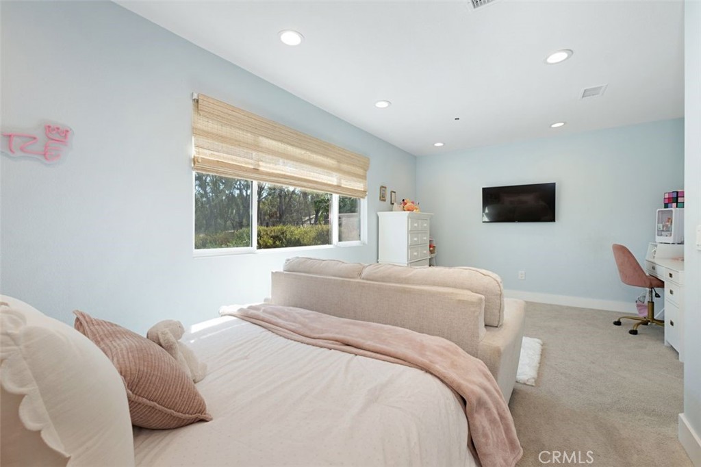 2886 Calle Heraldo Property Photo 35