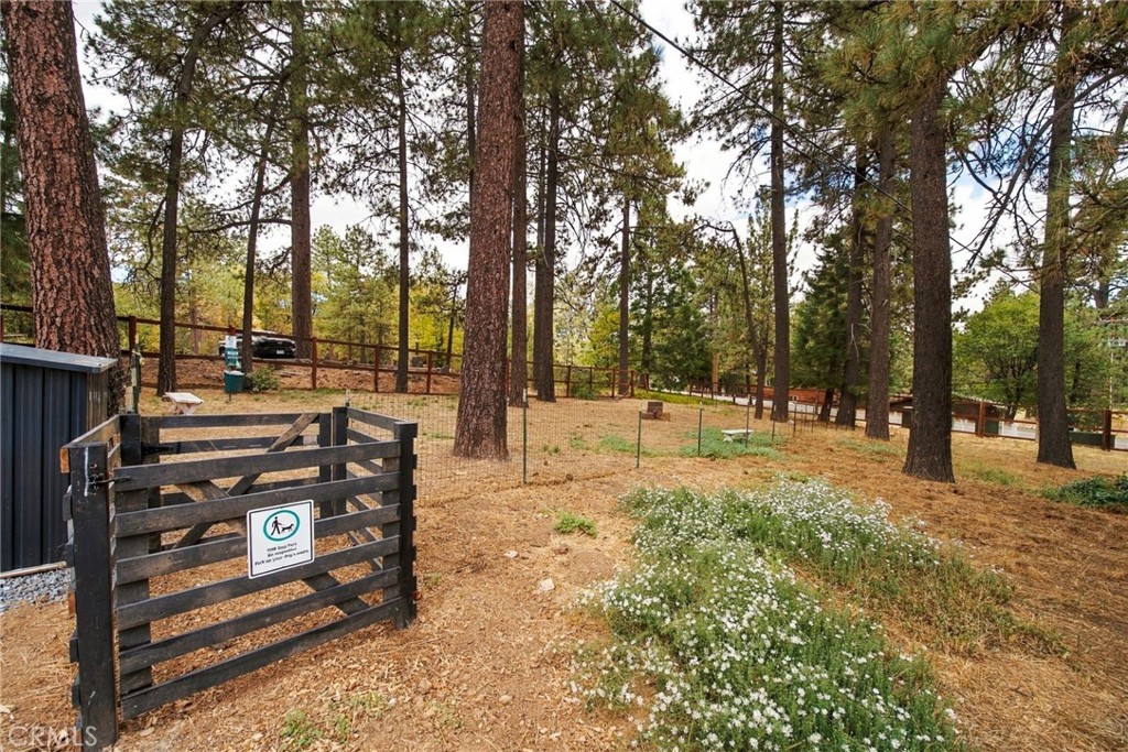 9849 Sunrise Hwy Property Photo 18