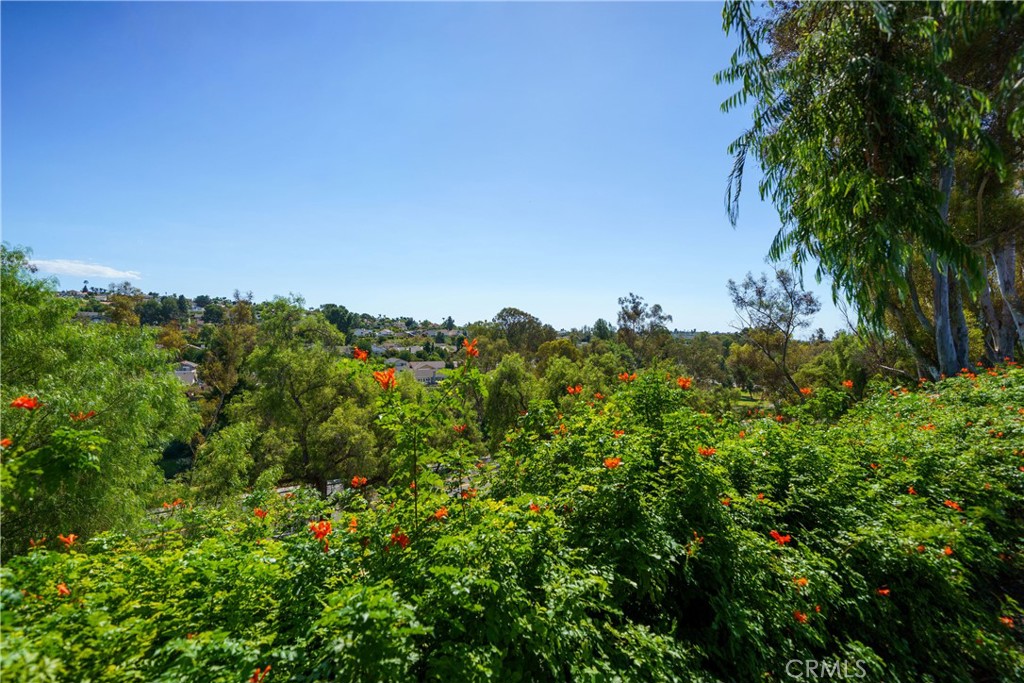 27772 Via Granados Property Photo 32