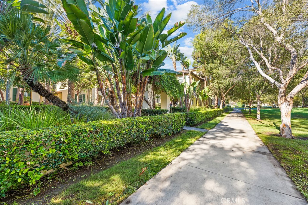 32 Perennial Property Photo 4