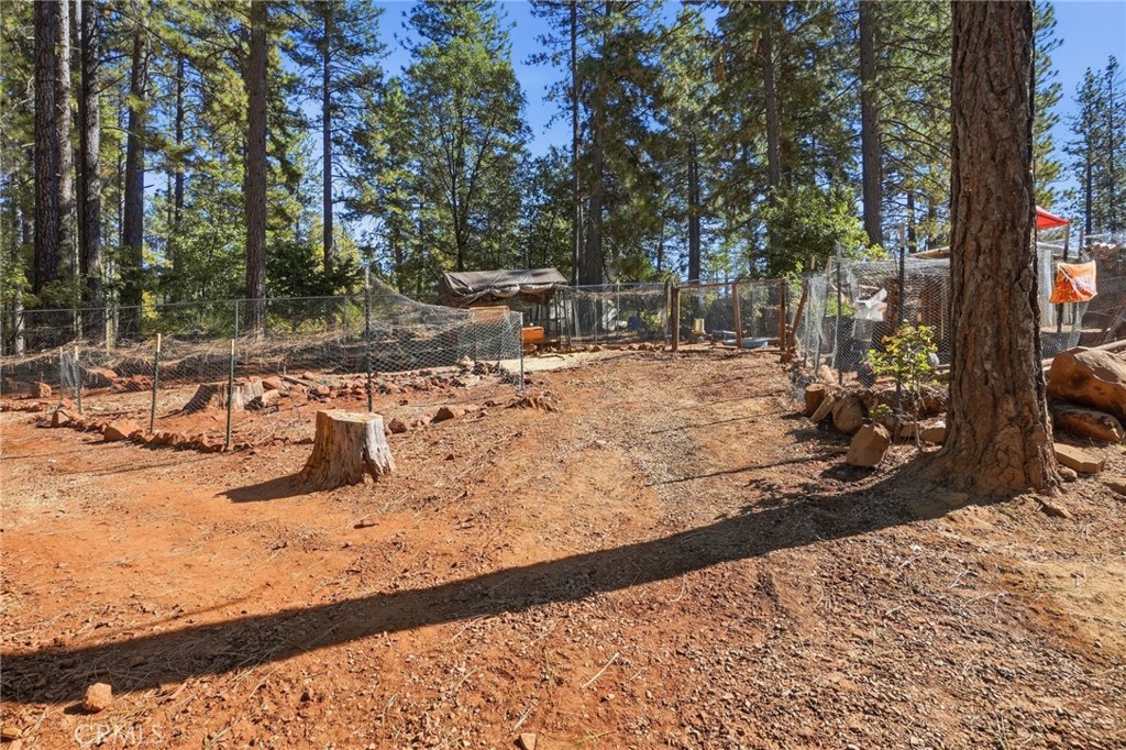 29595 State Highway 44 Property Photo 38
