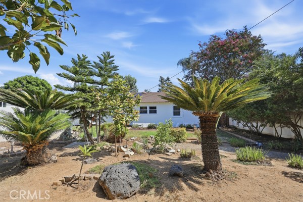 1111 Carol Street Property Photo 37