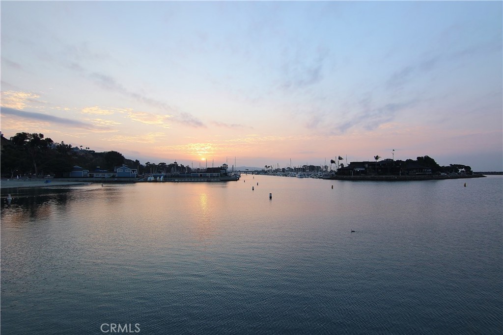105 Palm Beach Property Photo 30