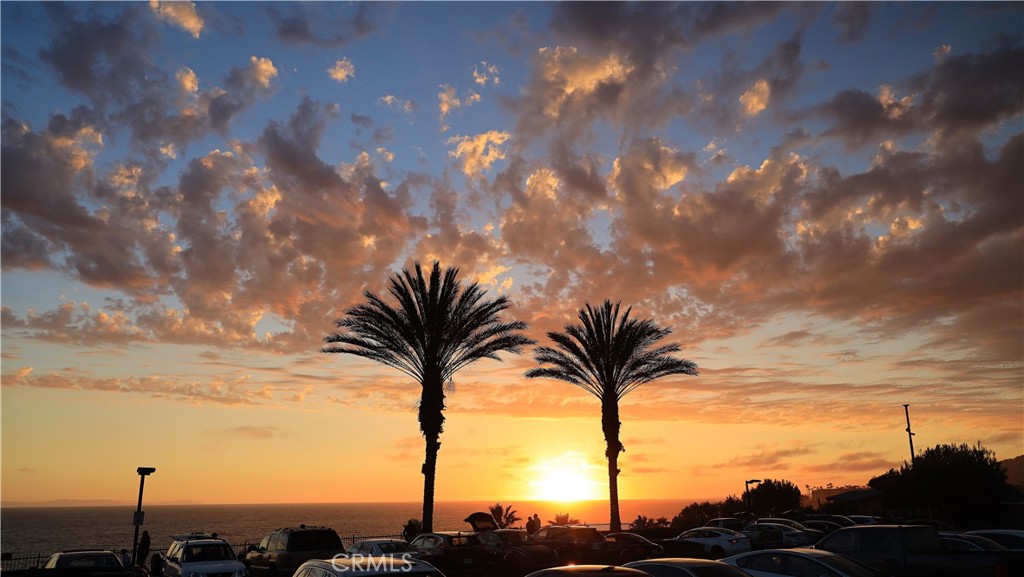 105 Palm Beach Property Photo 31