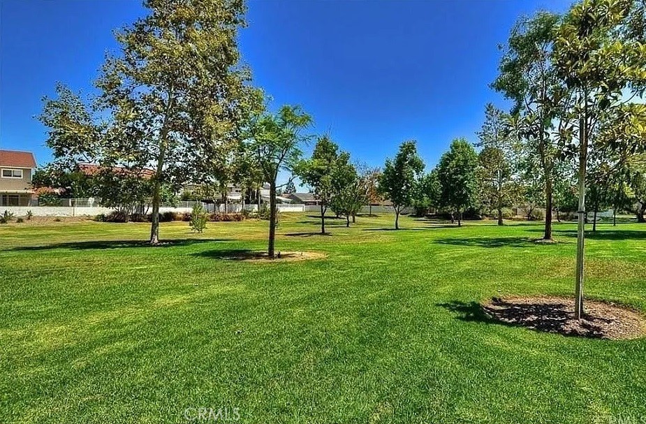 10754 El Rubi Property Photo 37