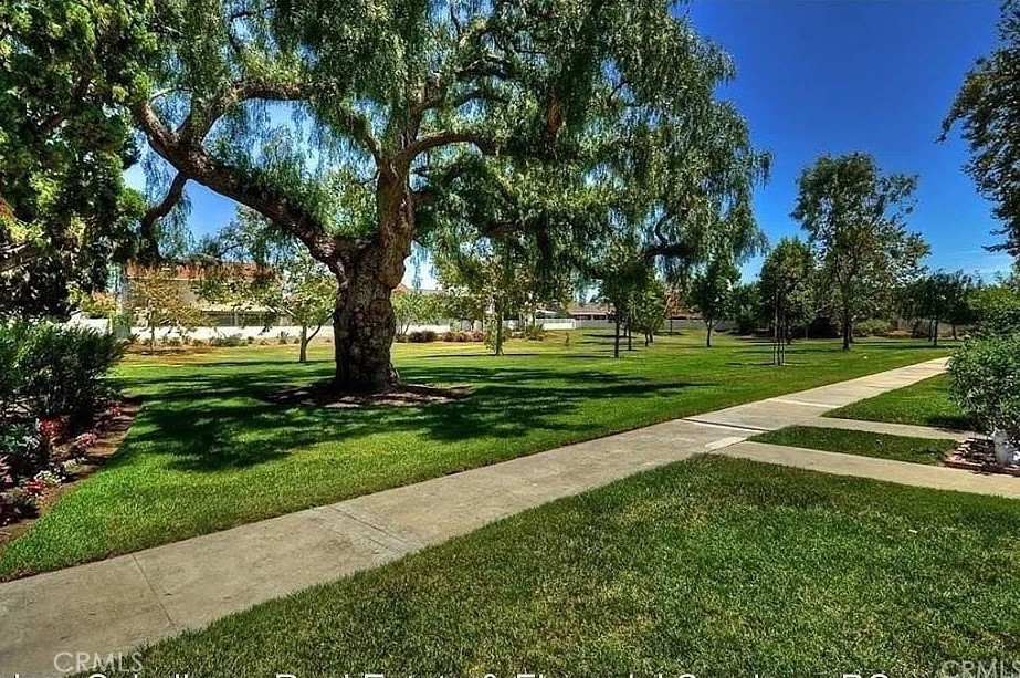 10754 El Rubi Property Photo 38