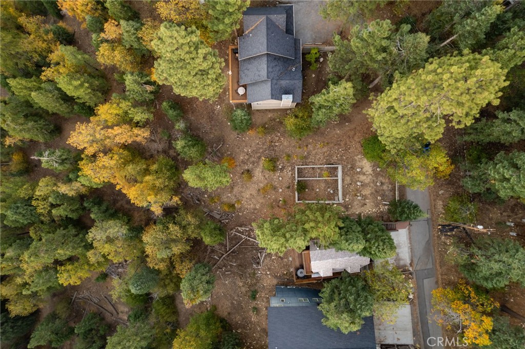 1223 Pigeon Property Photo 8