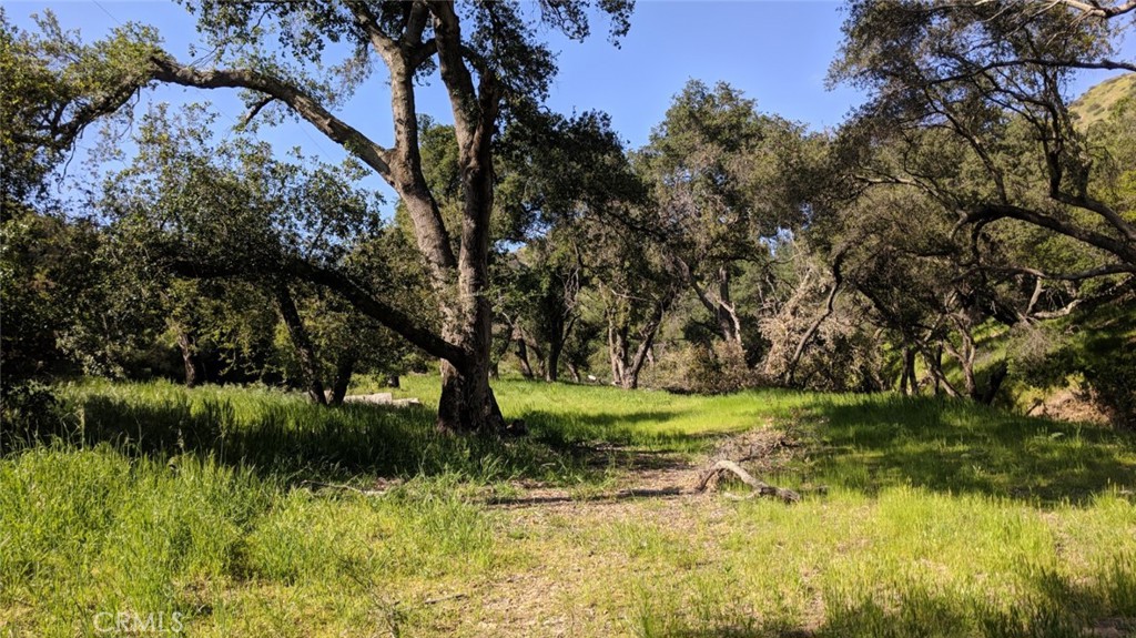 30271 Old Stage Road Property Photo 1