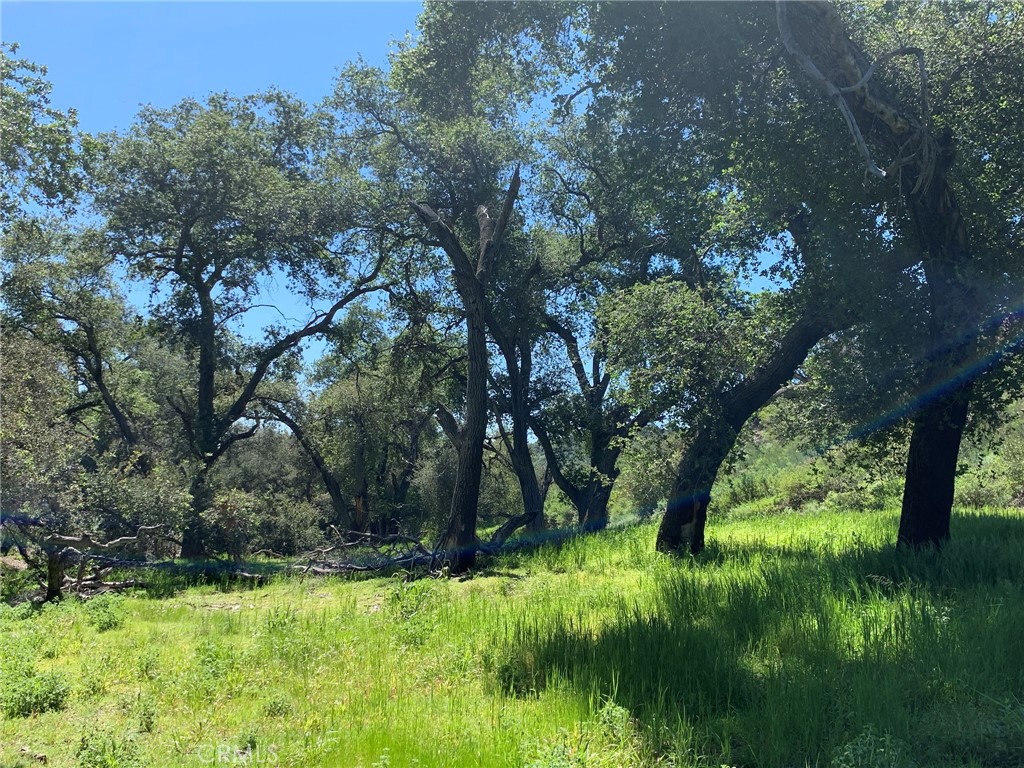 30271 Old Stage Road Property Photo 2