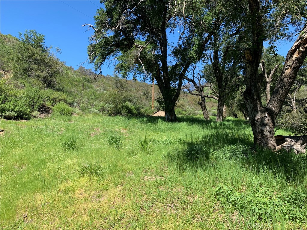30271 Old Stage Road Property Photo 3
