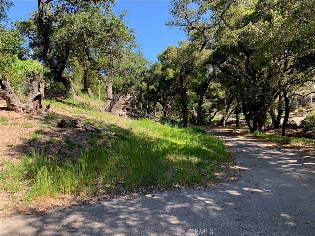 30271 Old Stage Road Property Photo 4