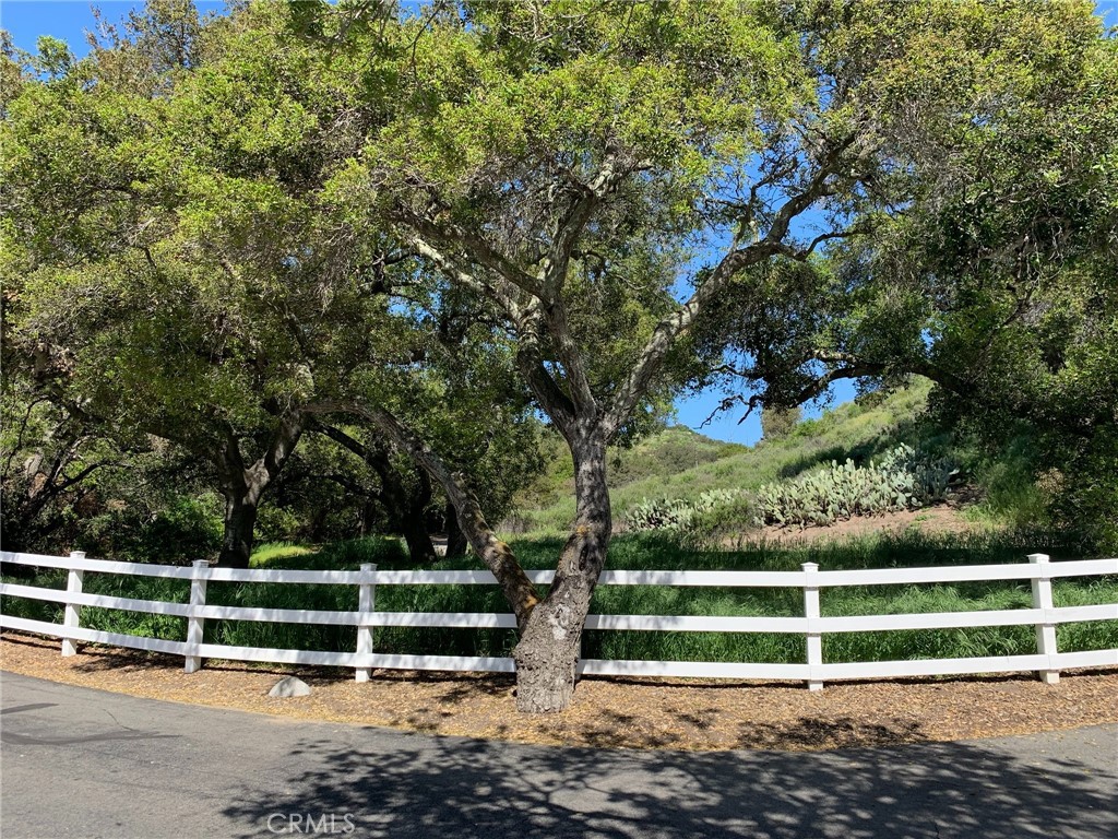 30271 Old Stage Road Property Photo 6