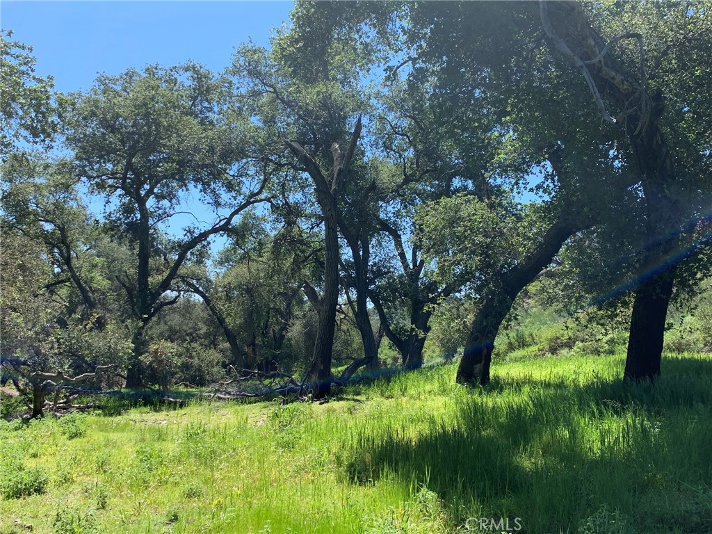 30221 Old Stage Road Property Photo 2