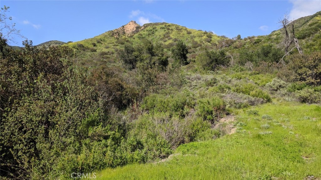 30221 Old Stage Road Property Photo 5
