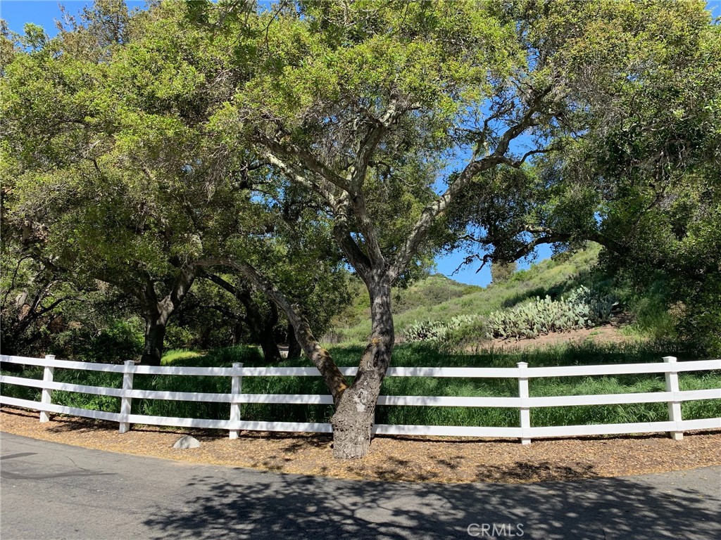 30221 Old Stage Road Property Photo 7