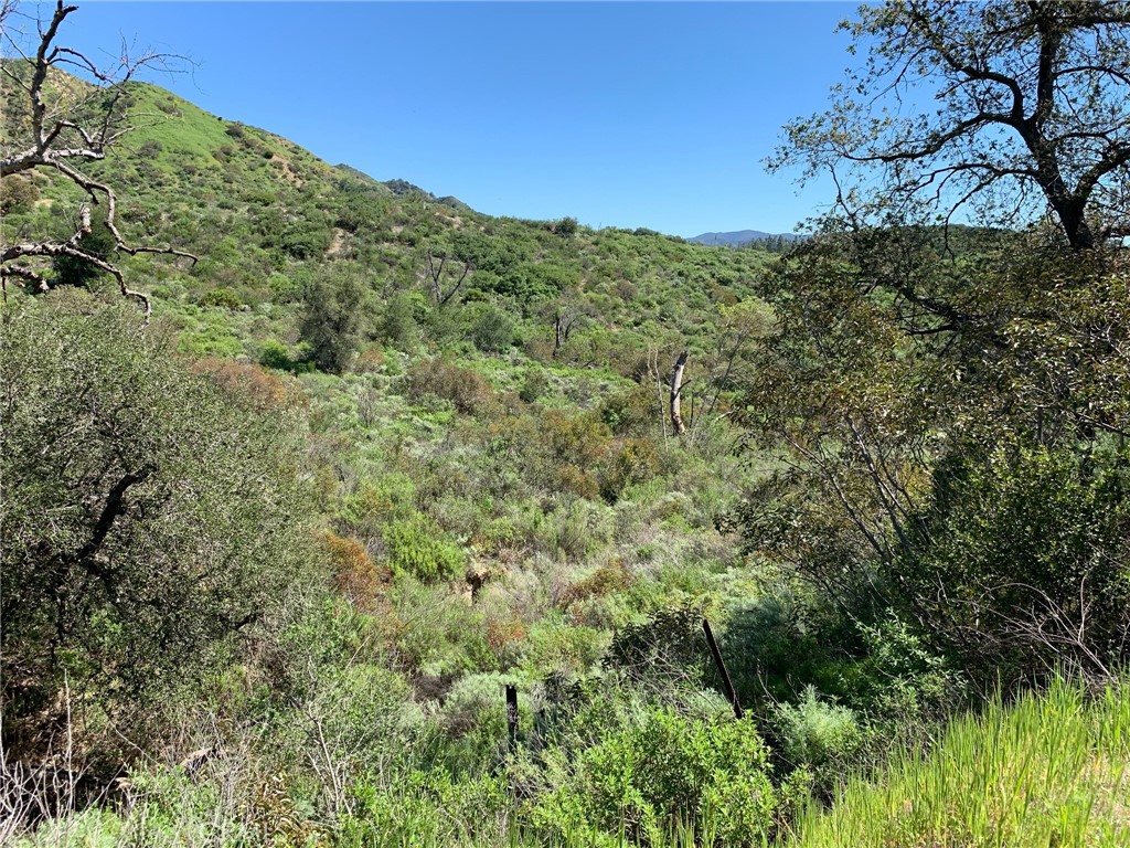 30221 Old Stage Road Property Photo 8