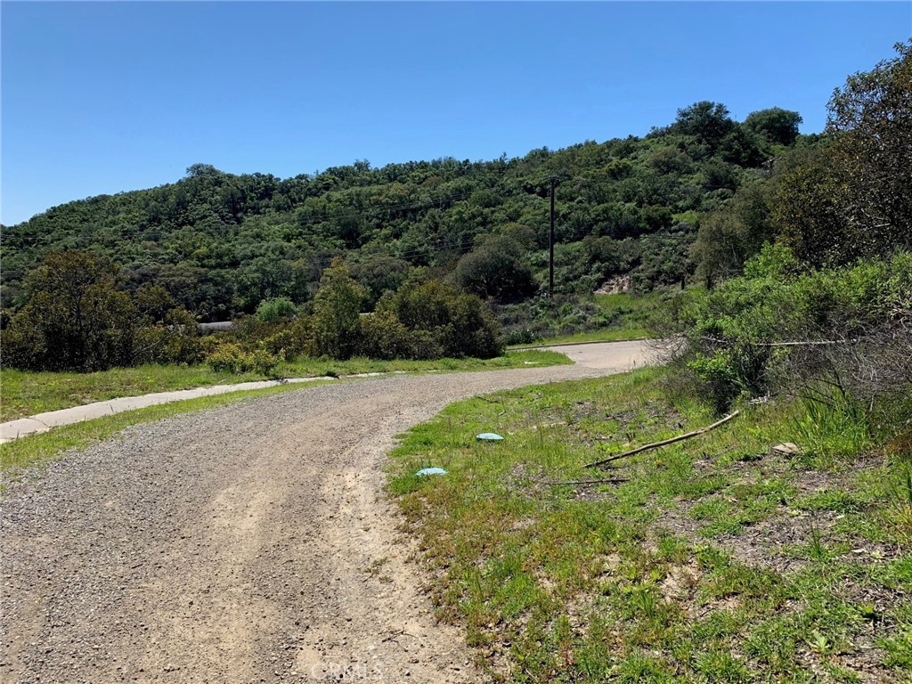 30221 Old Stage Road Property Photo 14