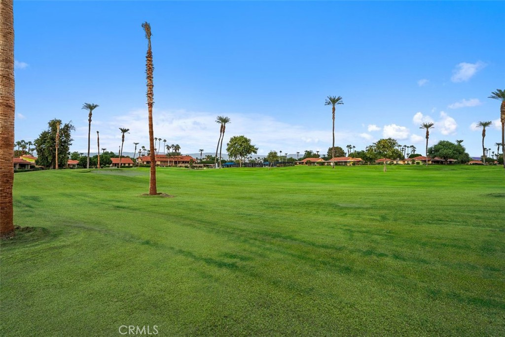 40 Sunrise Property Photo 25