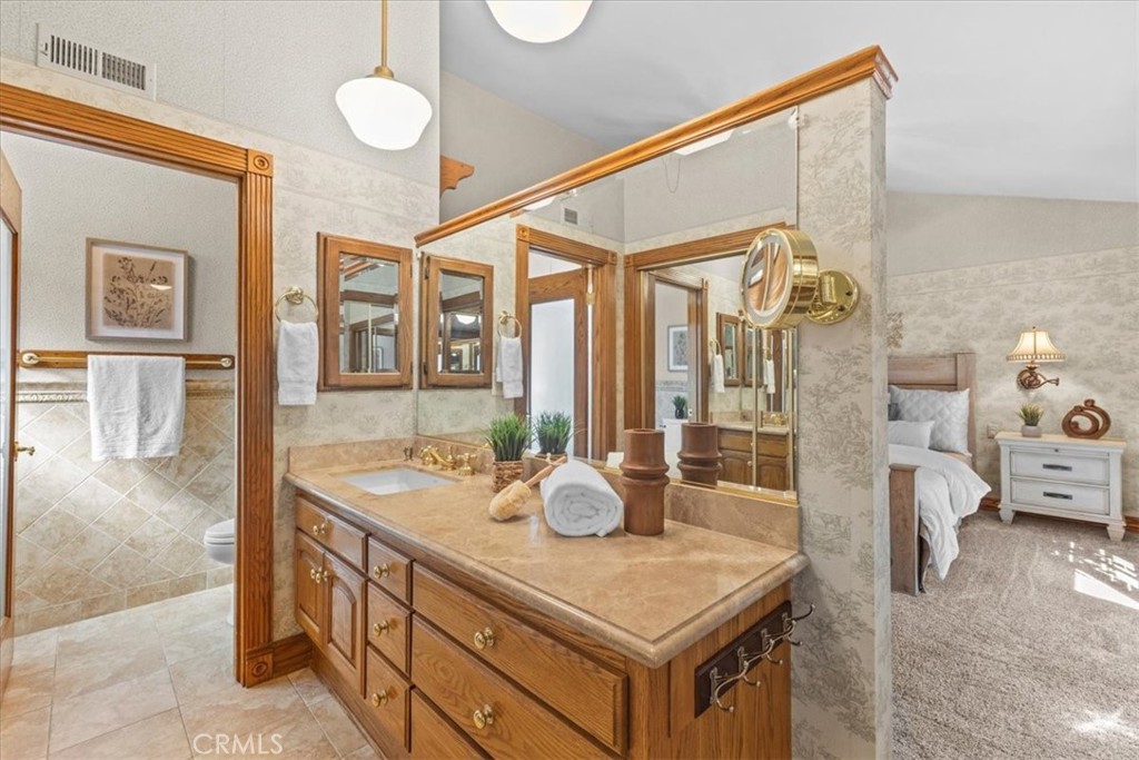 22212 Shady Rim Property Photo 29