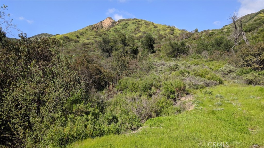 30221 4 Lot Old Stage Road Property Photo 1