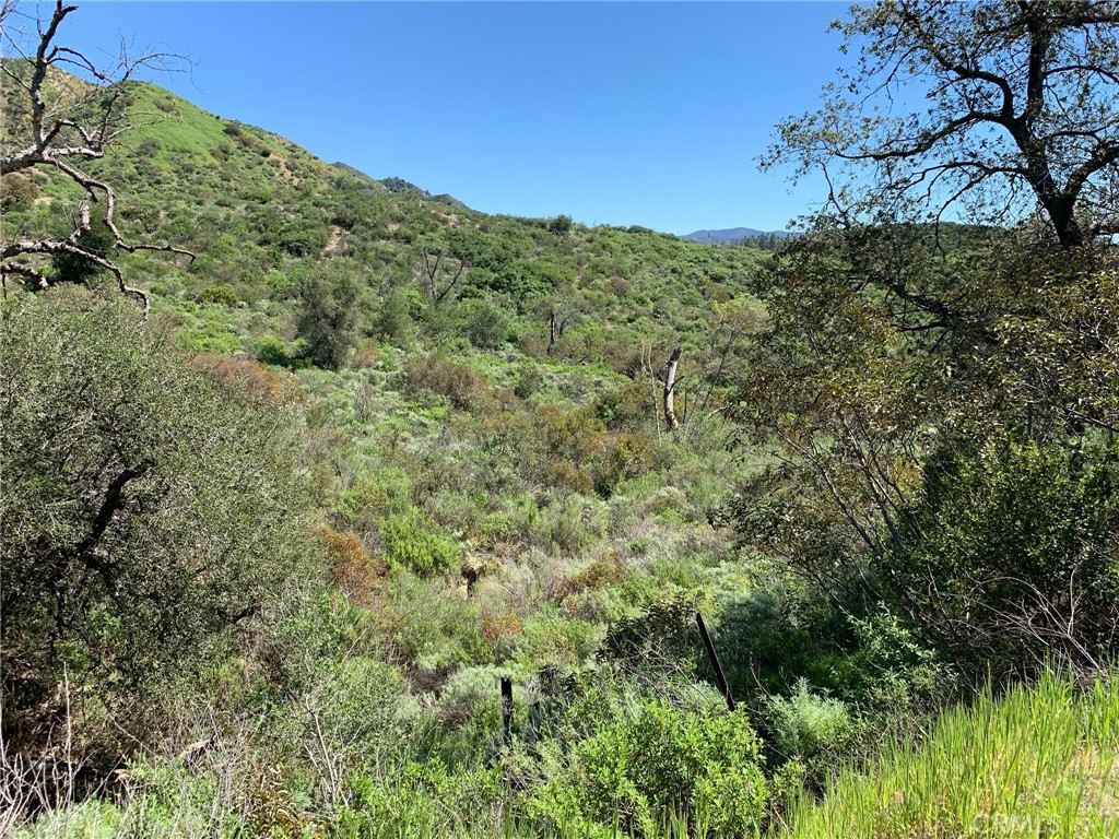 30221 4 Lot Old Stage Road Property Photo 3