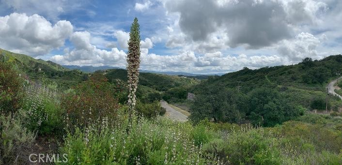 30221 4 Lot Old Stage Road Property Photo 4