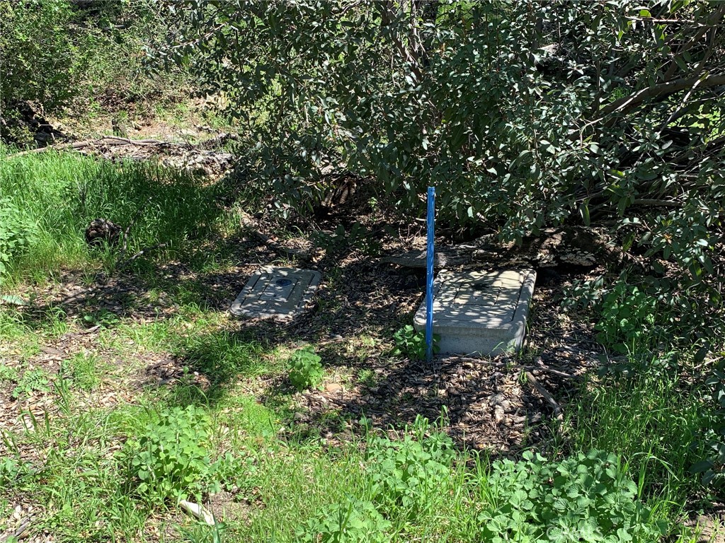 30221 4 Lot Old Stage Road Property Photo 10