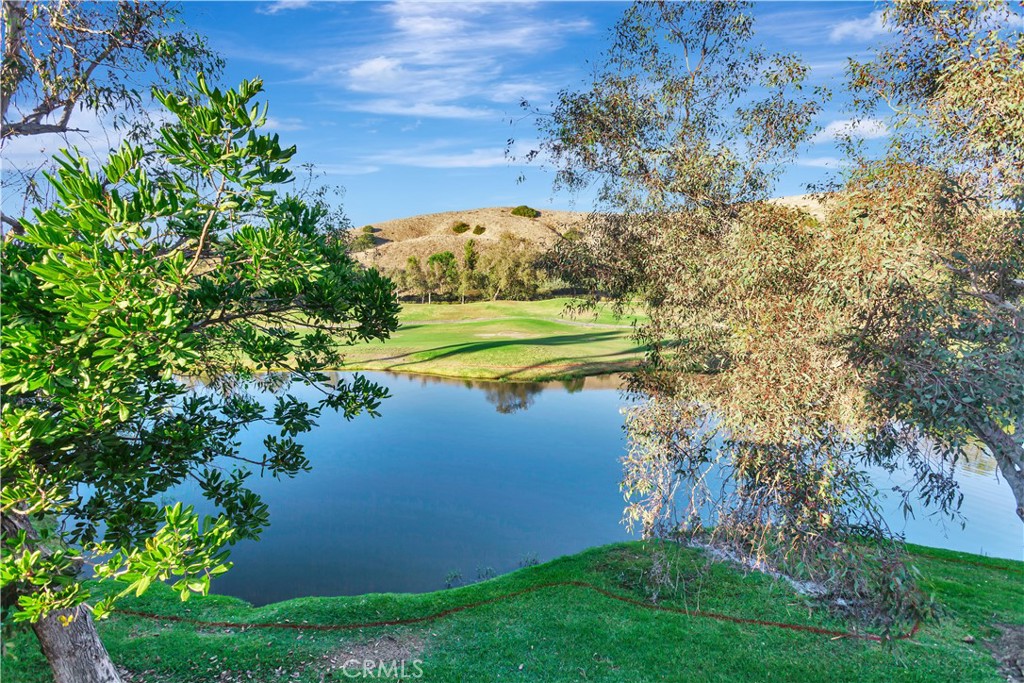 27941 Via De Costa Property Photo 5