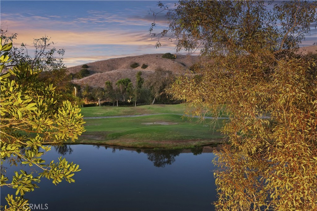 27941 Via De Costa Property Photo 32