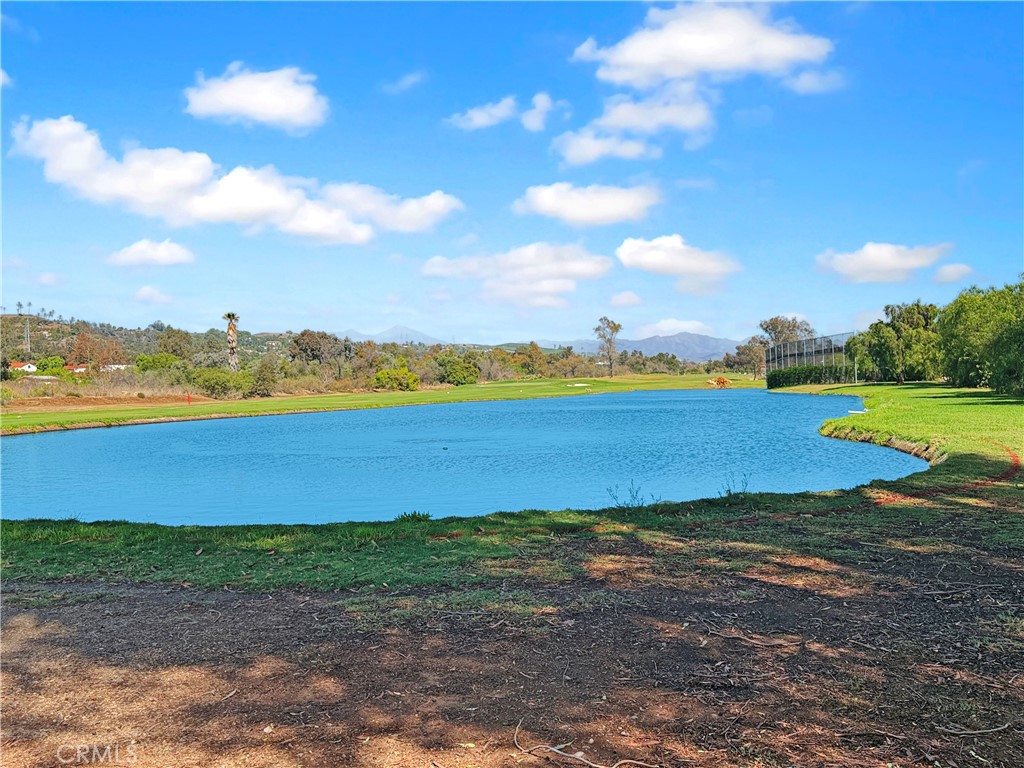 27941 Via De Costa Property Photo 53
