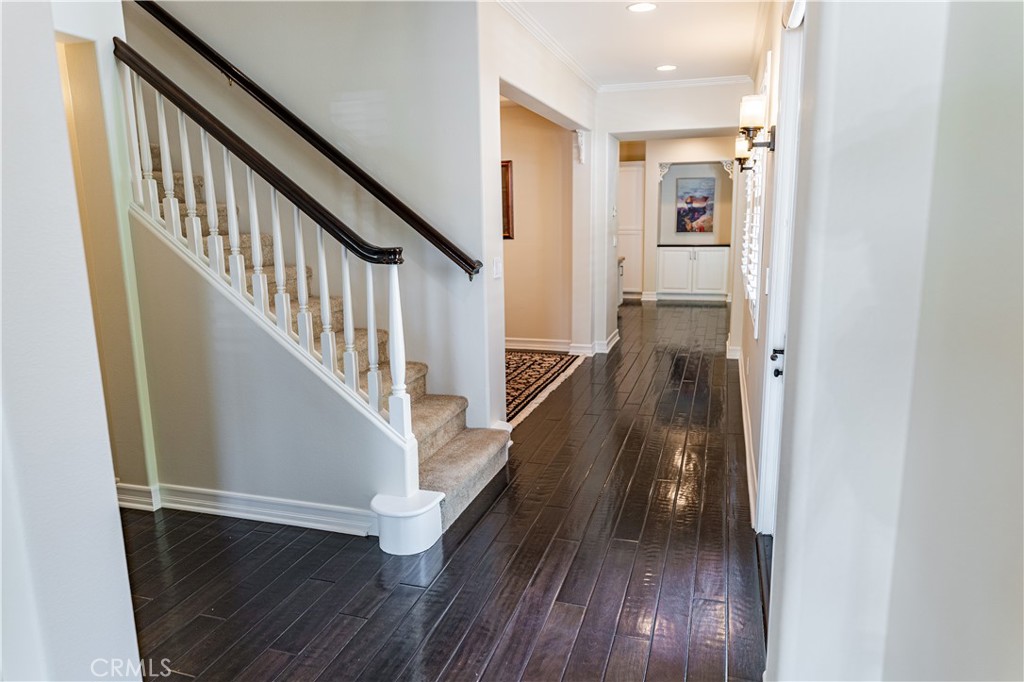 24 Daisy Street Property Photo 12