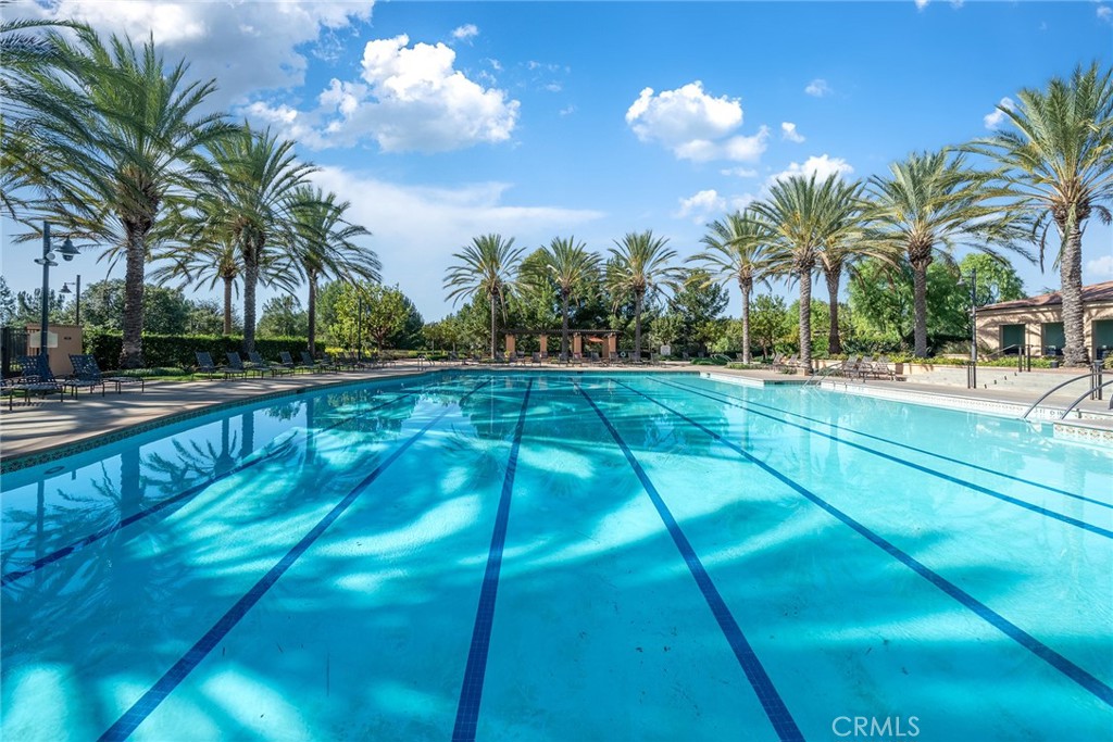 52 Woodhill Property Photo 66