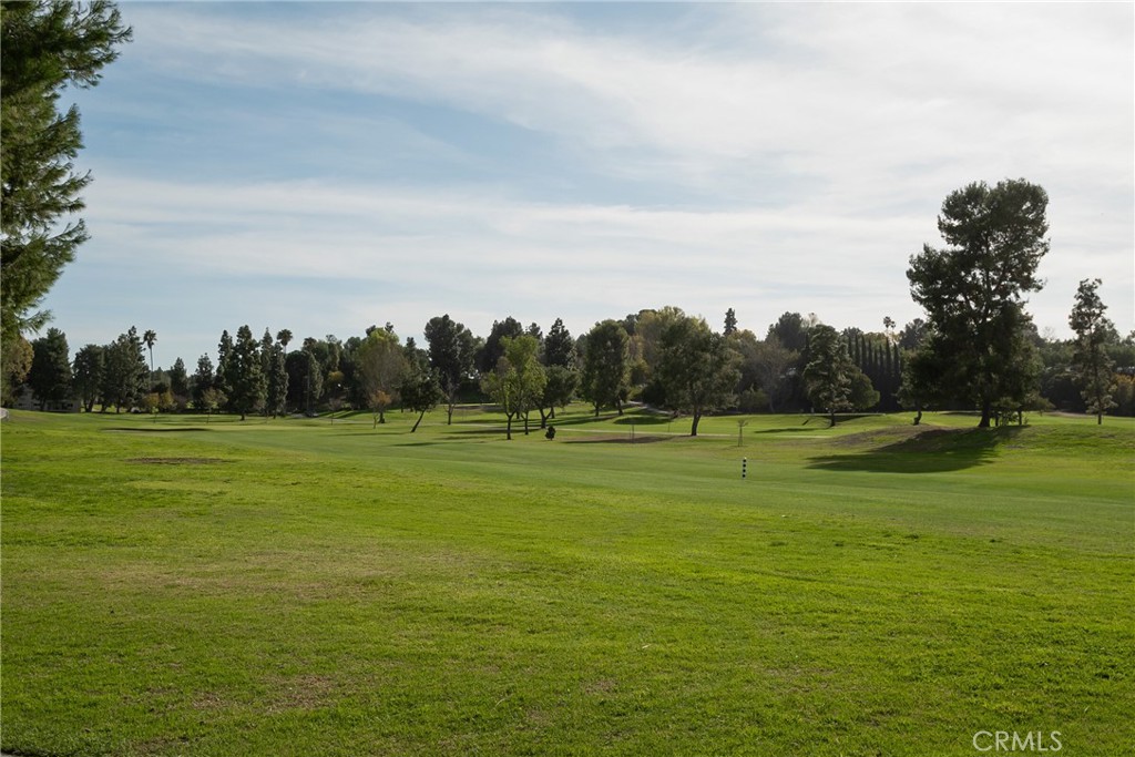 2132 Via Puerta E Property Photo 27