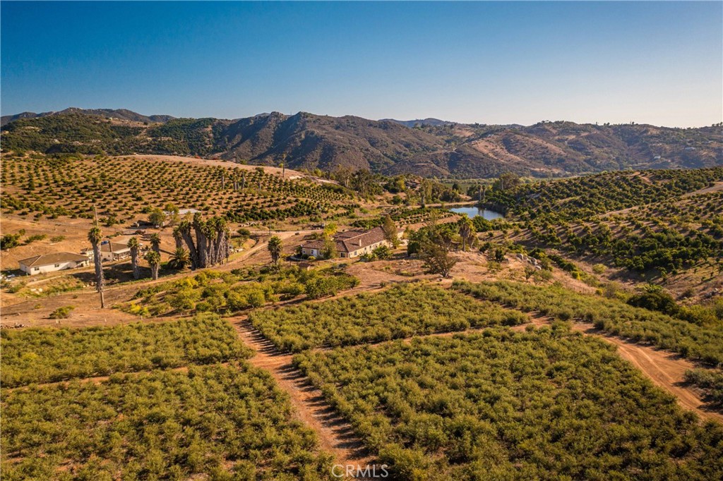 31418 Calle De Talar Property Photo 5