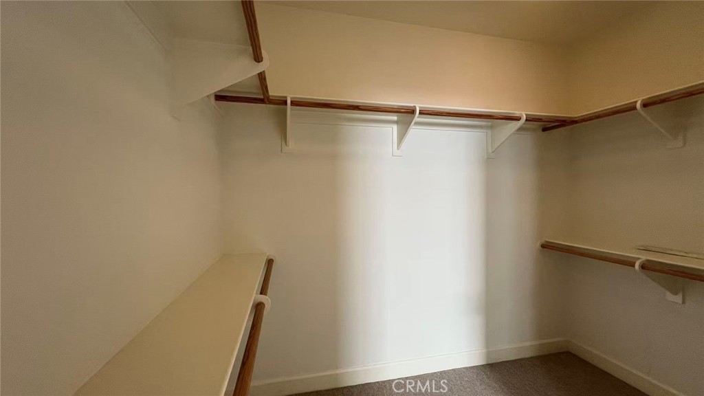 59 Thornapple Property Photo 14
