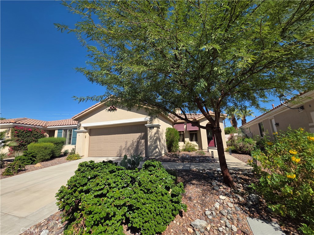 80450 Avd Linda Vista Property Photo 3