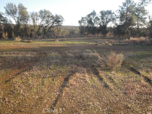 4288 Olive Highway Property Photo 7